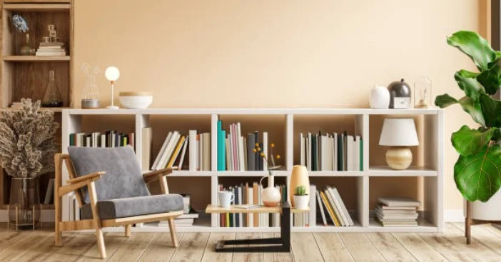 Bookshelves and Storage Solutions for Room in 2025